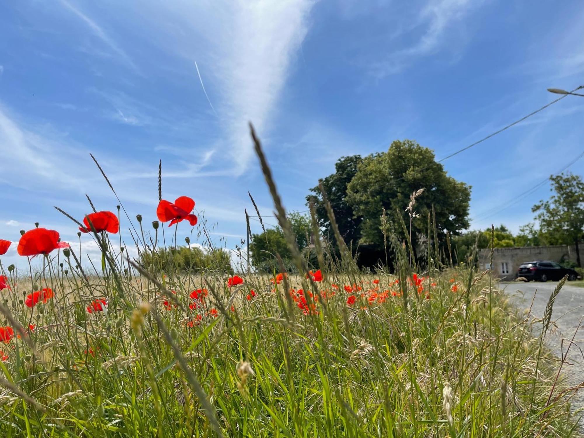 Logis Saint Leonard Bed & Breakfast Dompierre-sur-Mer Exterior photo